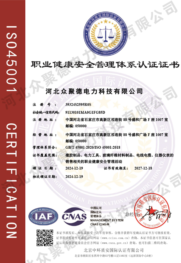 职业健康体系认证--中文.jpg